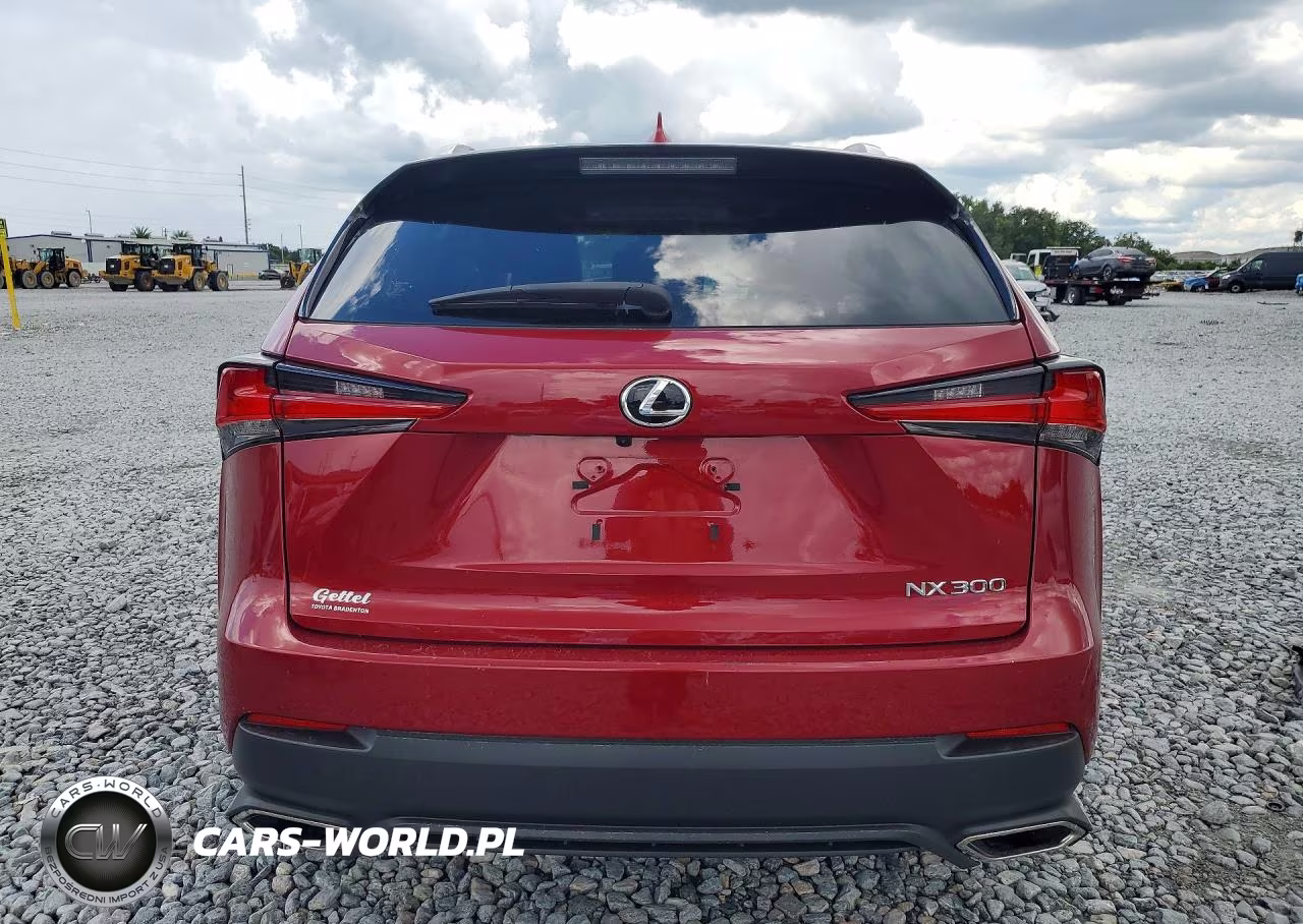 2021 Lexus Nx 300 Base VIN:JTJDARBZ8M5026172 - 6