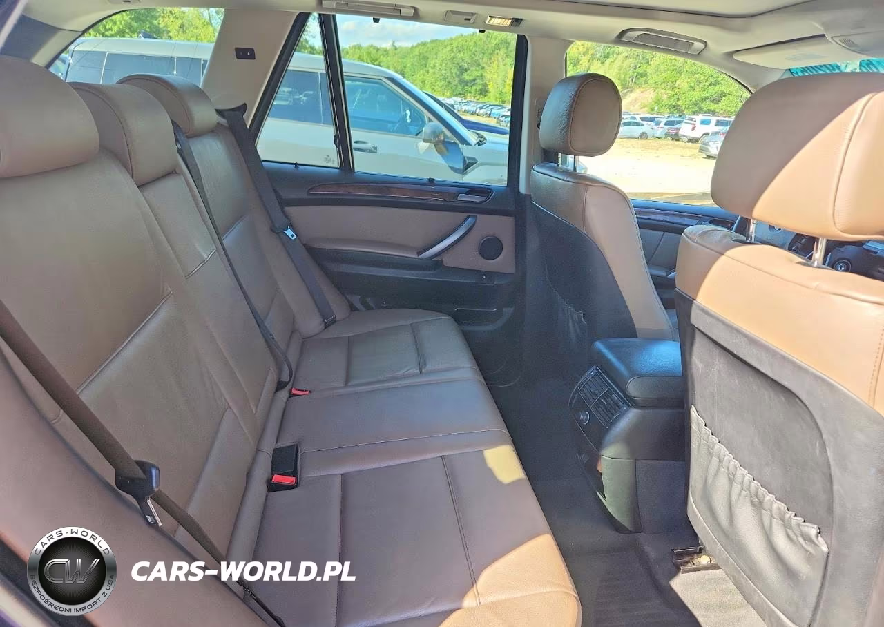 2006 BMW X5 3.0I VIN:5UXFA13556LY41077 - 10