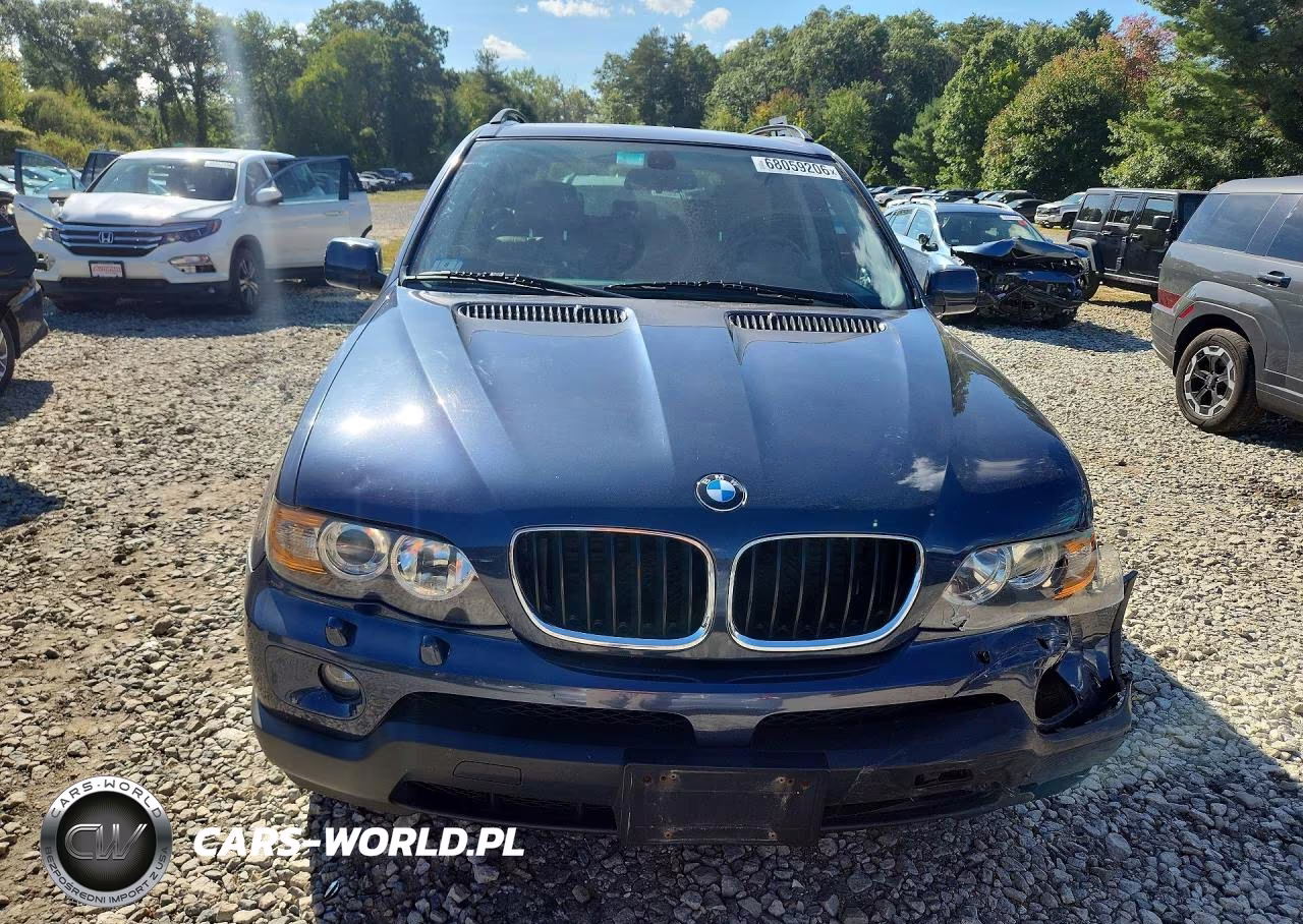 2006 BMW X5 3.0I VIN:5UXFA13556LY41077 - 5