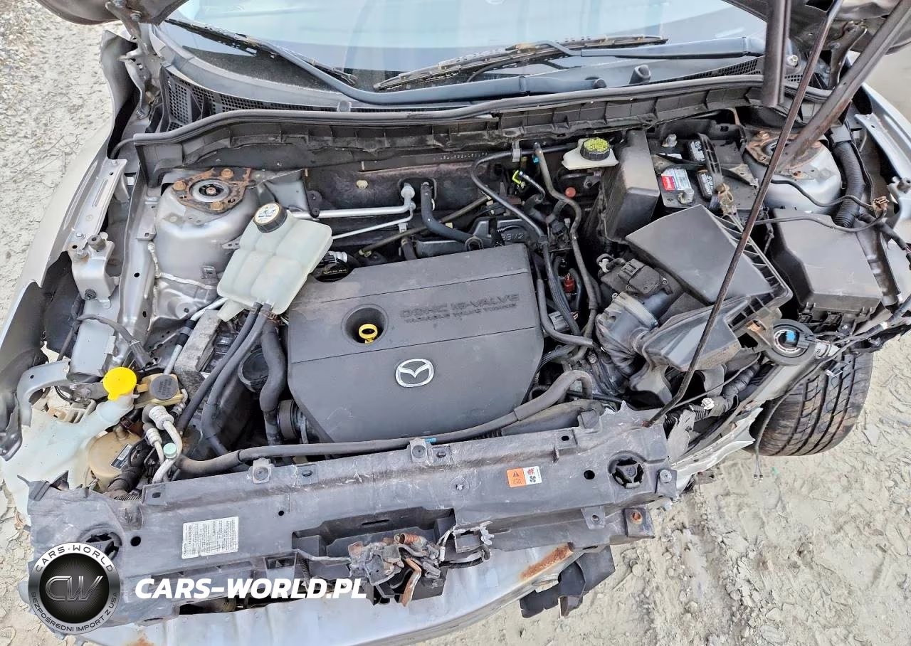 2010 Mazda 3 I VIN:JM1BL1SG2A1301784 - 11