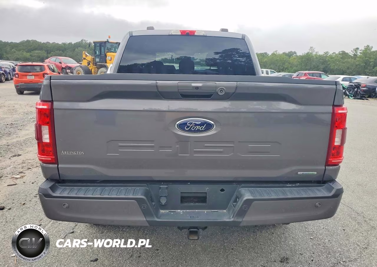 2021 Ford F150 Supercrew VIN:1FTEW1EP2MFC69720 - 6