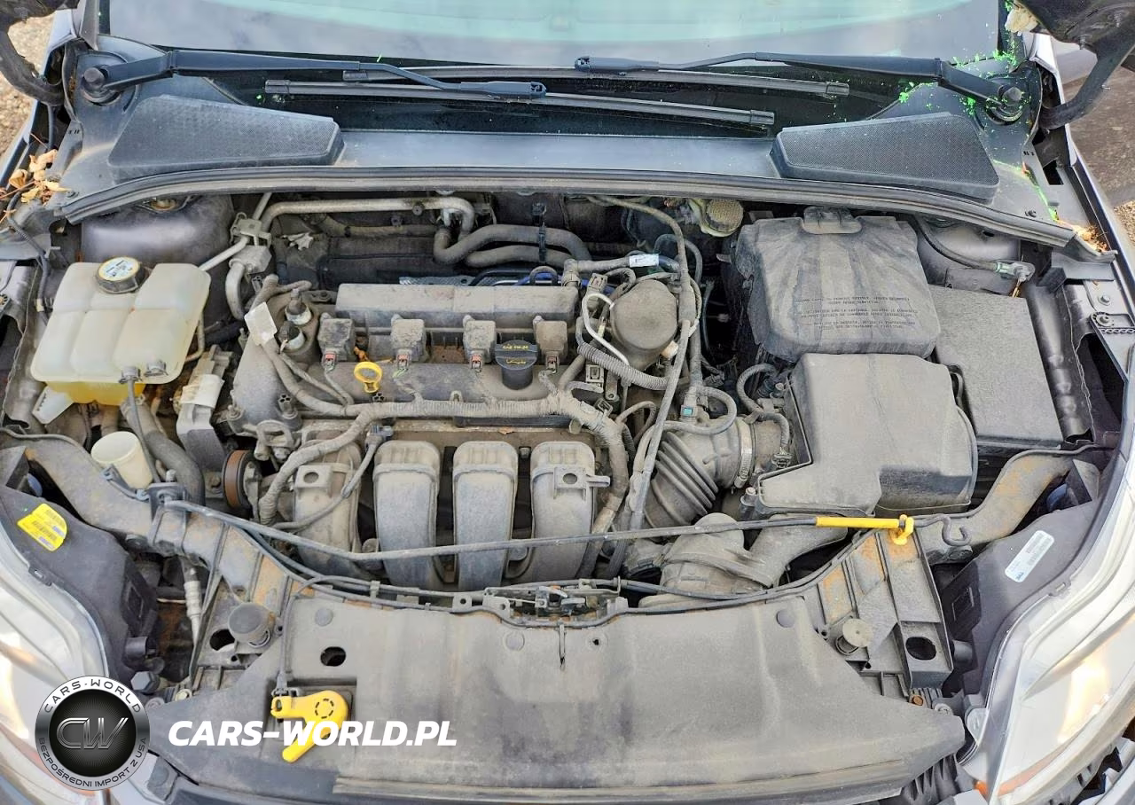 2014 Ford Focus Se VIN:1FADP3F25EL332549 - 11
