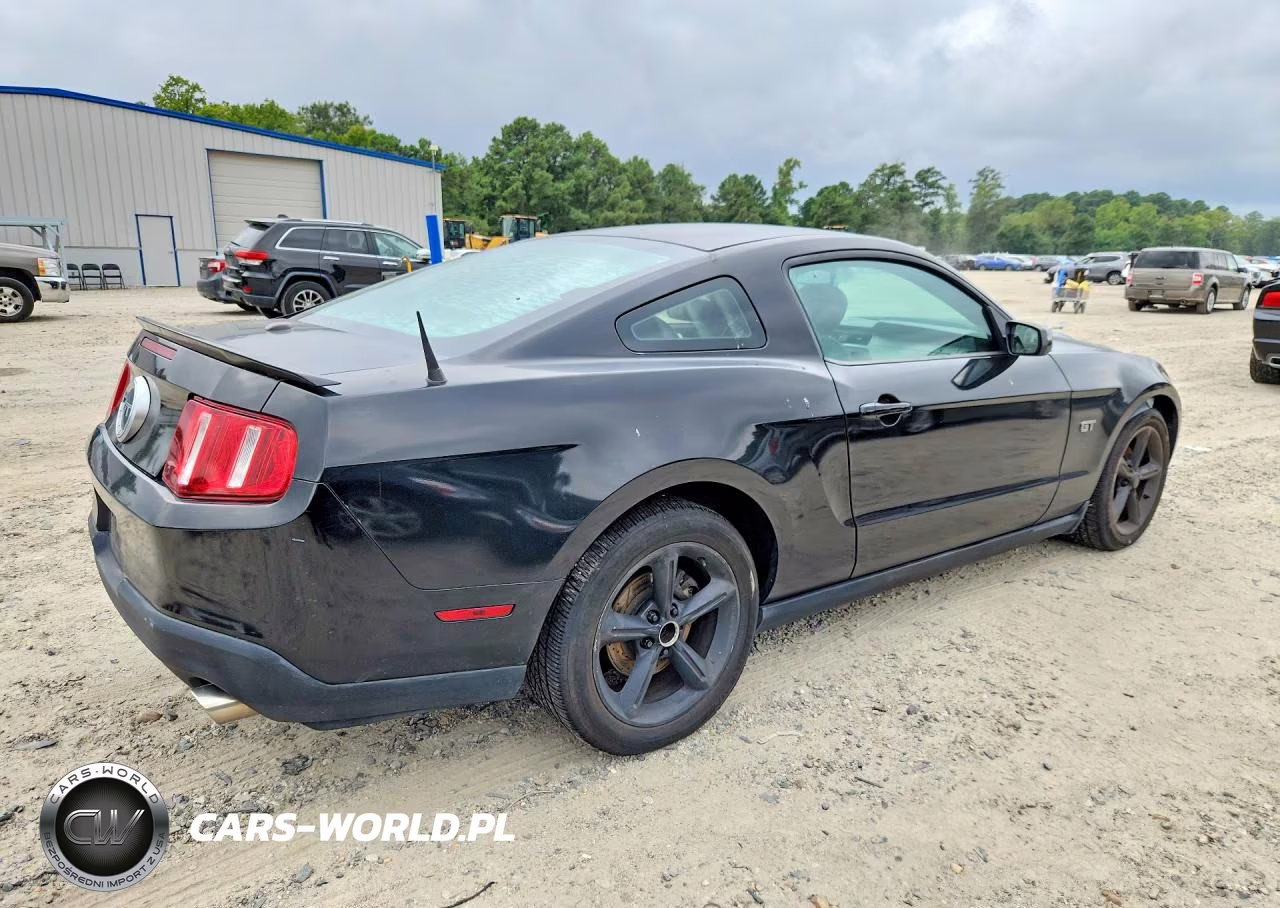 2010 Ford Mustang Gt VIN:1ZVBP8CH2A5139360 - 3