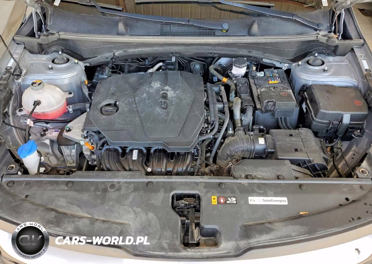 2024 Kia Sportage Lx VIN:KNDPU3DF0R7292952 - 12