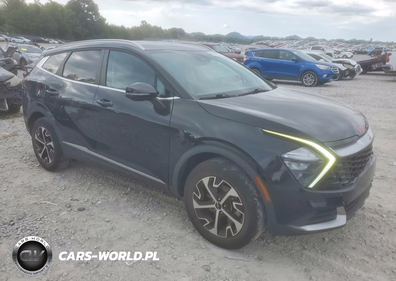 2023 Kia Sportage Ex VIN:5XYK3CAF8PG028542 - 4