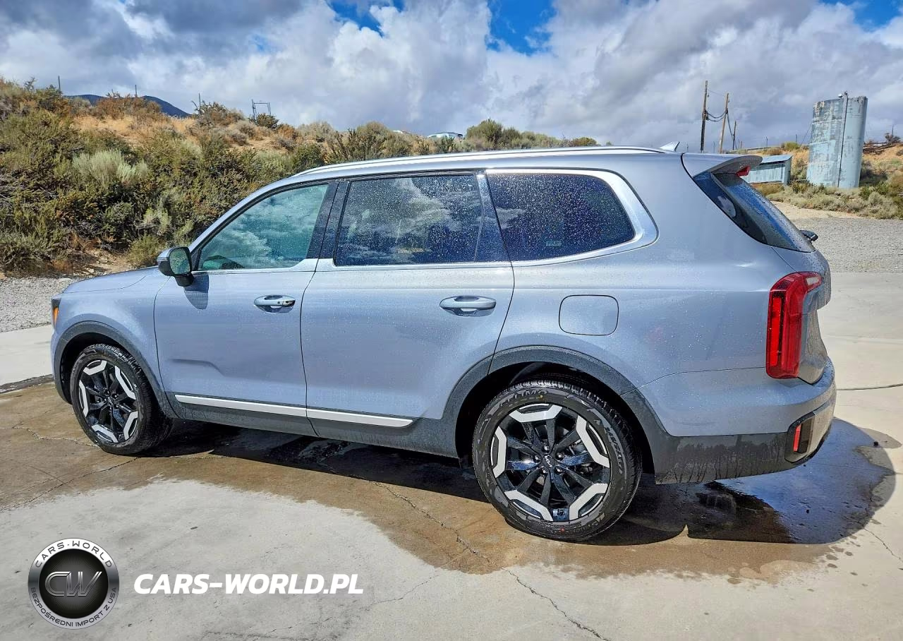 2025 Kia Telluride S VIN:5XYP6DGC8SG696897 - 2