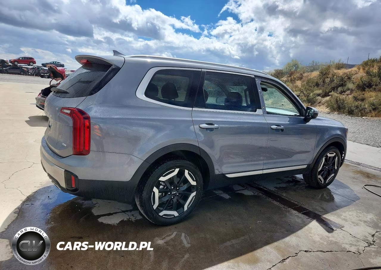 2025 Kia Telluride S VIN:5XYP6DGC8SG696897 - 3