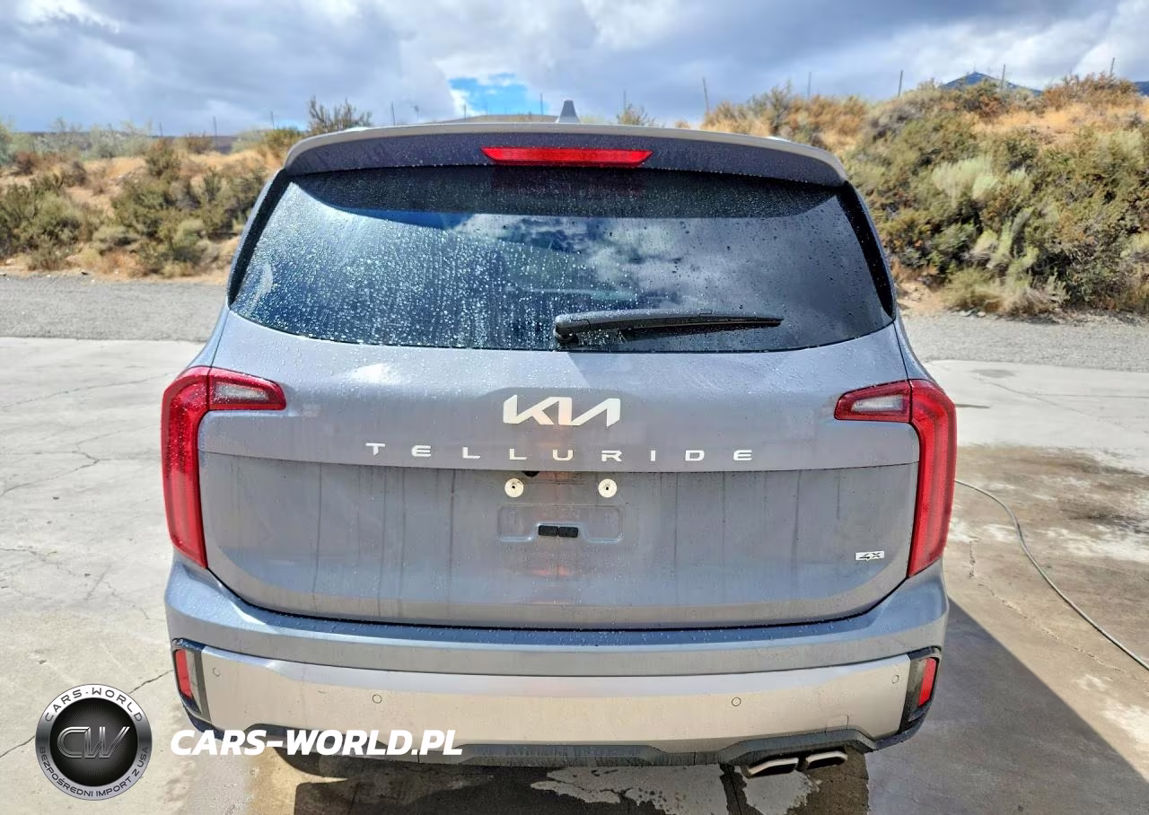 2025 Kia Telluride S VIN:5XYP6DGC8SG696897 - 6