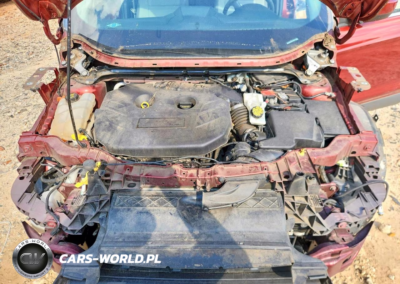 2014 Ford Escape Se VIN:1FMCU0G91EUC72929 - 11