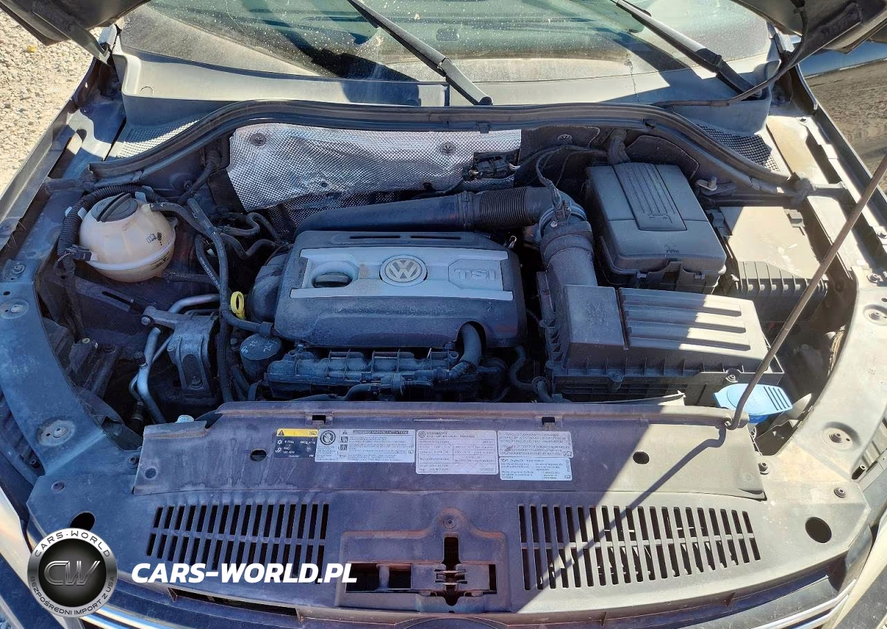 2016 Volkswagen Tiguan S VIN:WVGBV7AX1GW607462 - 11
