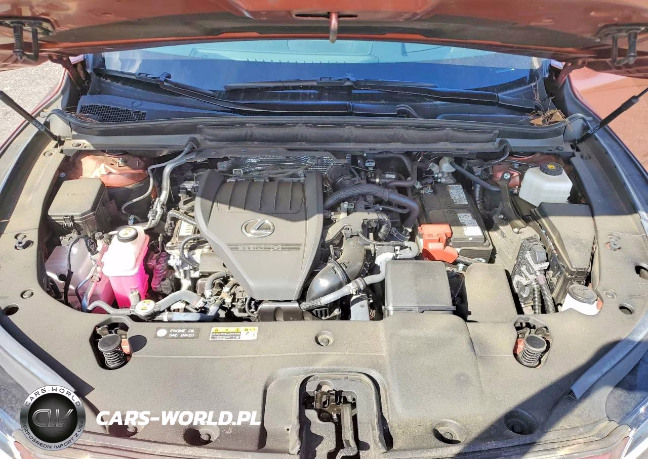 2024 Lexus Rx 350 Premium+ VIN:2T2BAMBA4RC025226 - 12
