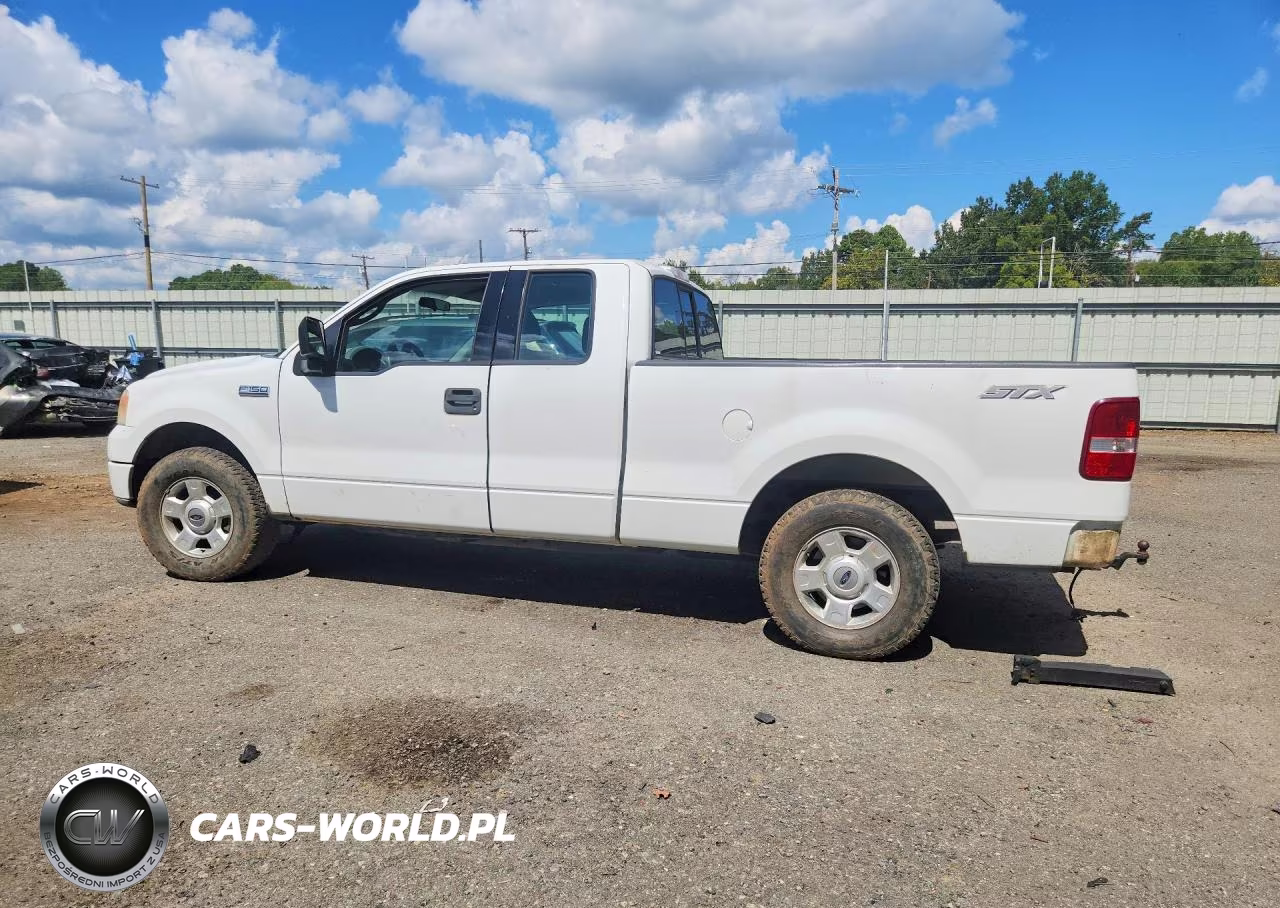 2004 Ford F150 VIN:1FTRX12W94NA79641 - 2