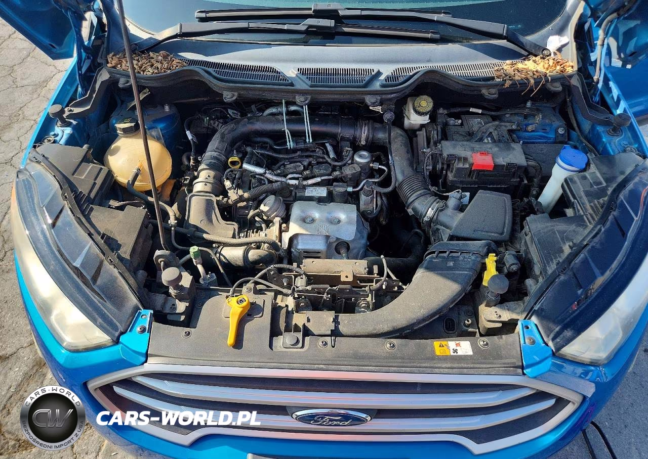 2018 Ford Ecosport Se VIN:MAJ3P1TE1JC164112 - 12