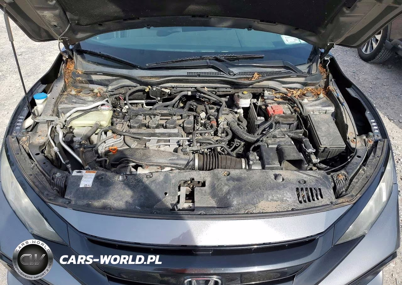 2017 Honda Civic Lx VIN:SHHFK7H23HU208839 - 11