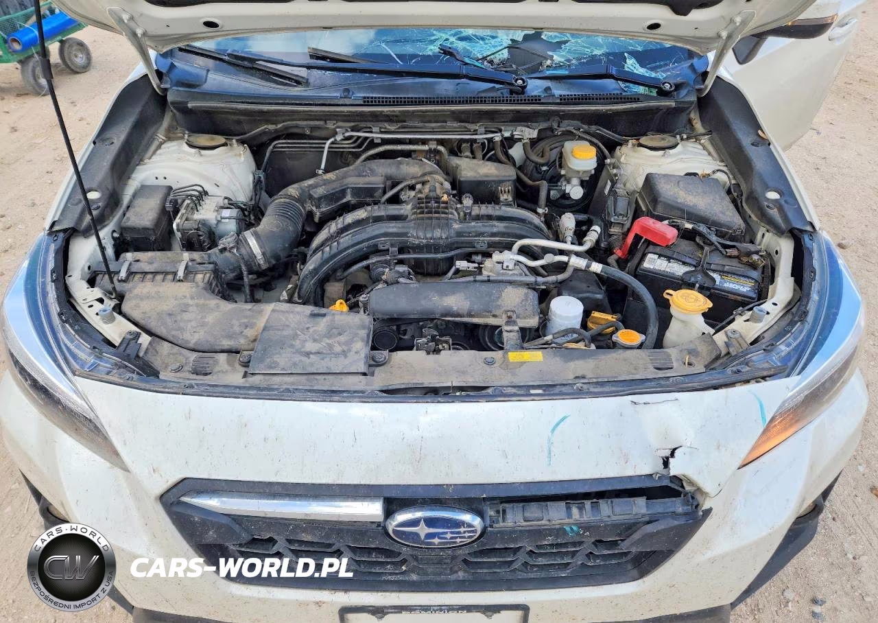 2019 Subaru Crosstrek Limited VIN:JF2GTAMC8K8269725 - 12