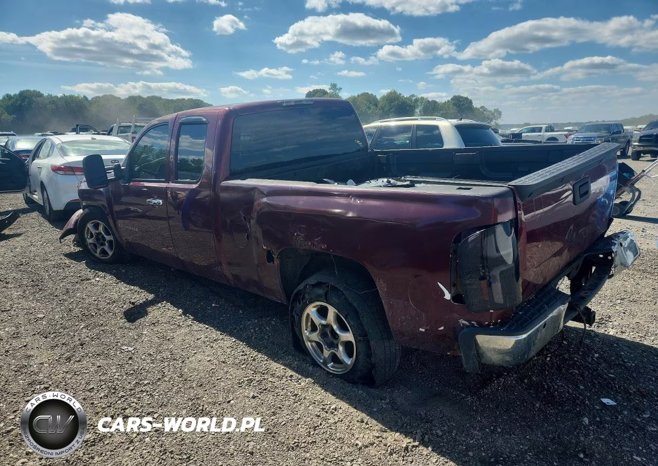 2009 Chevrolet Silverado K1500 VIN:1GCEK19C69Z234686 - 2