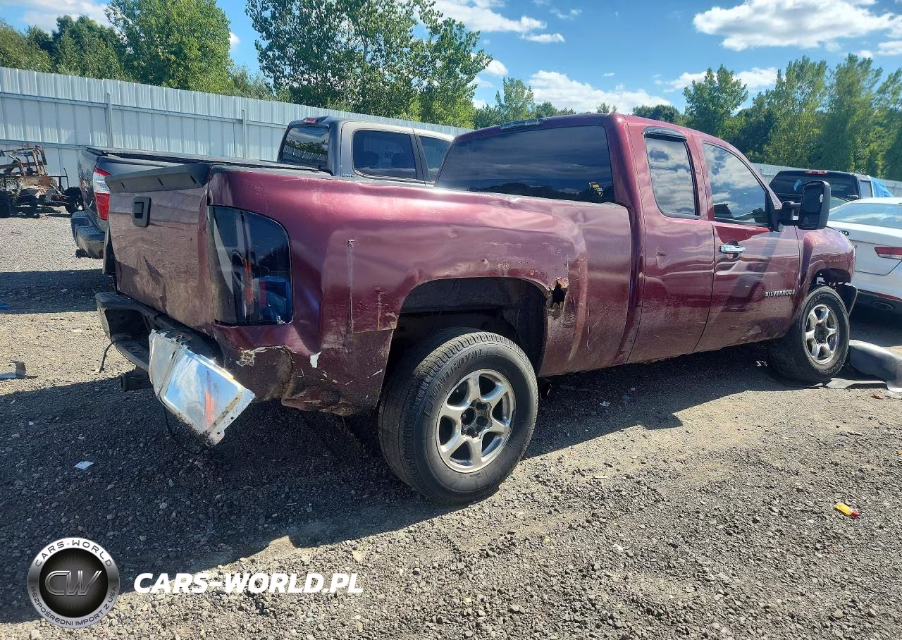 2009 Chevrolet Silverado K1500 VIN:1GCEK19C69Z234686 - 3