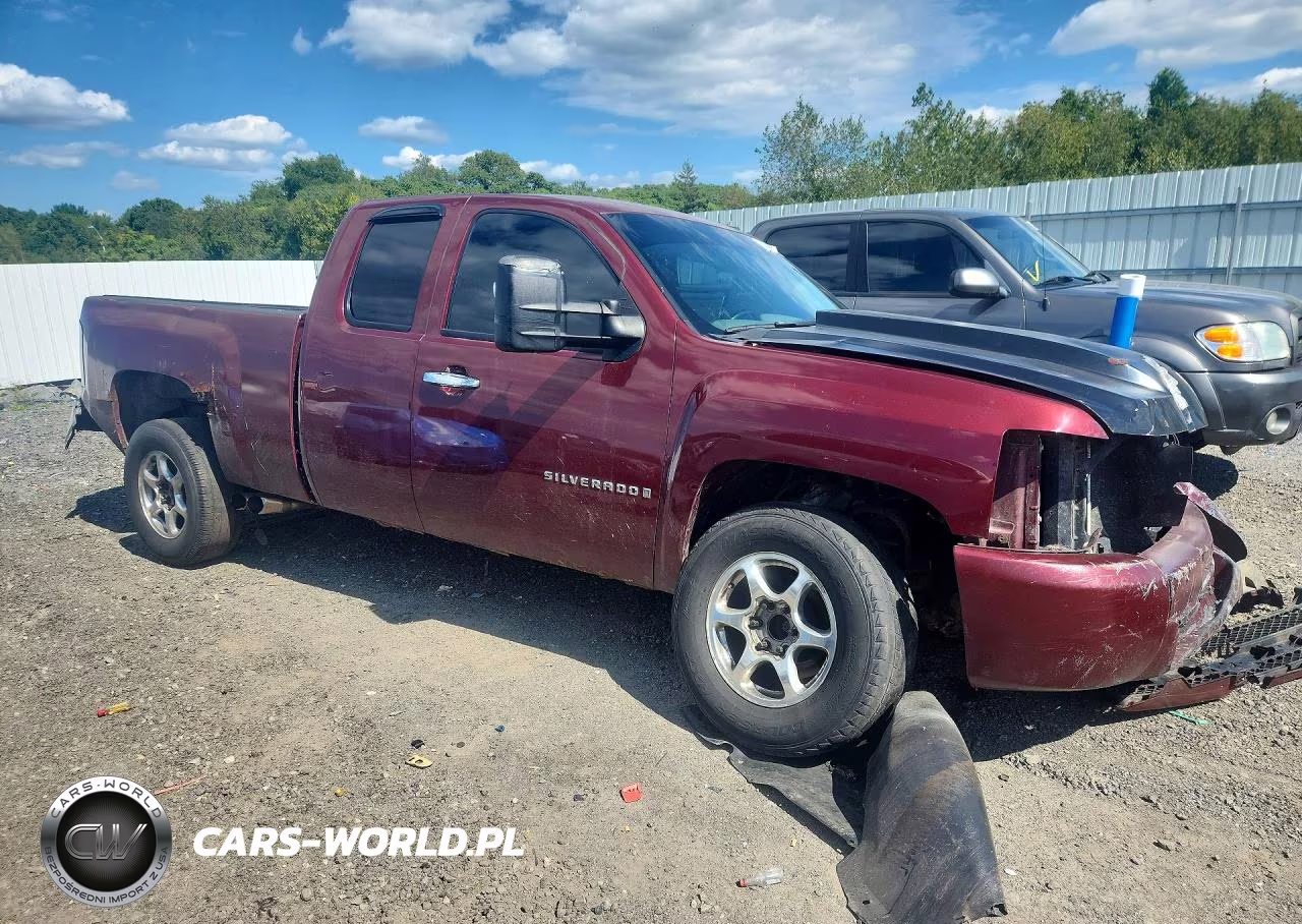 2009 Chevrolet Silverado K1500 VIN:1GCEK19C69Z234686 - 4