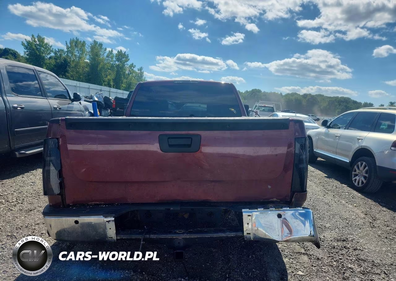 2009 Chevrolet Silverado K1500 VIN:1GCEK19C69Z234686 - 6