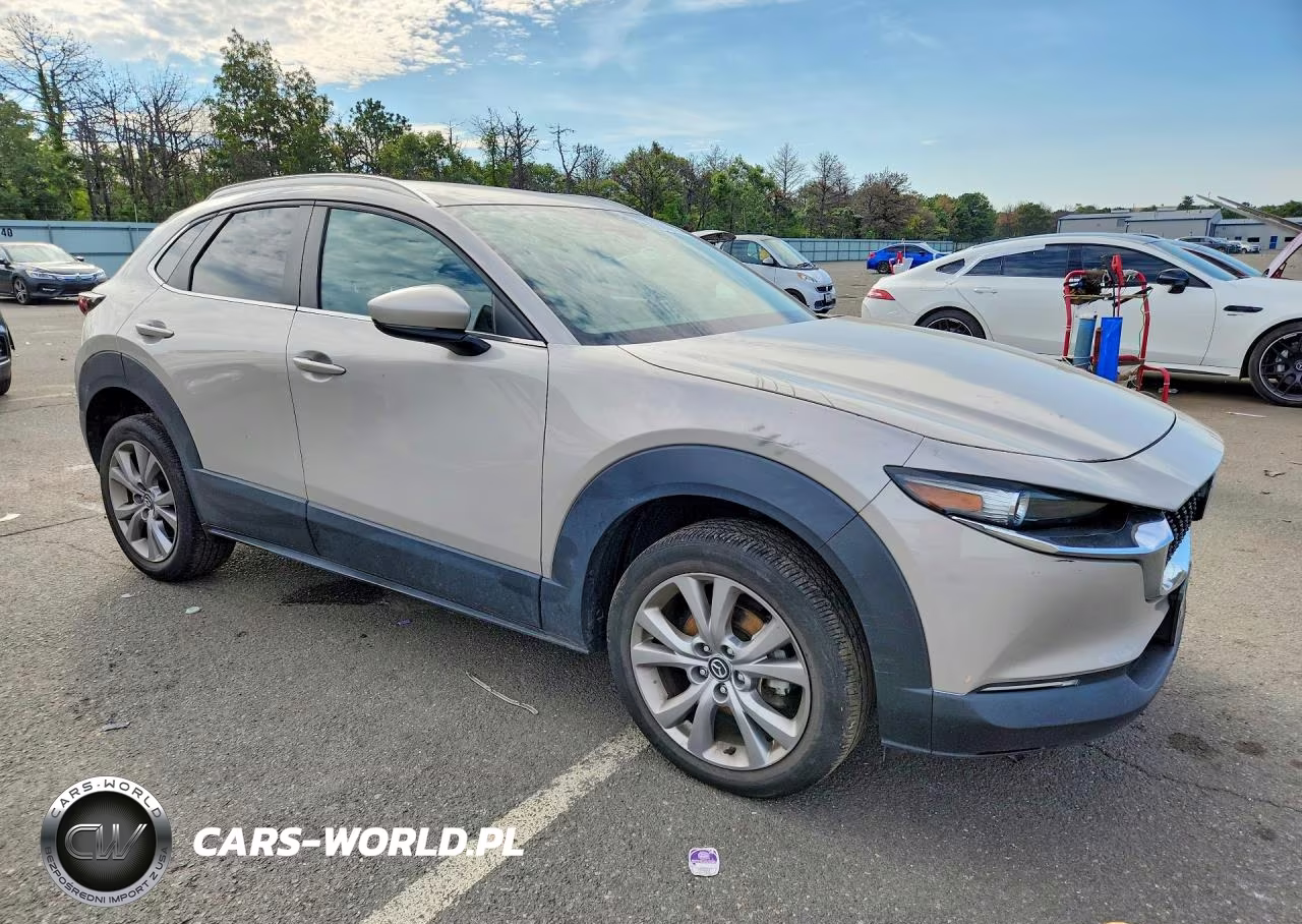 2023 Mazda Cx-30 Preferred VIN:3MVDMBCM9PM539965 - 4