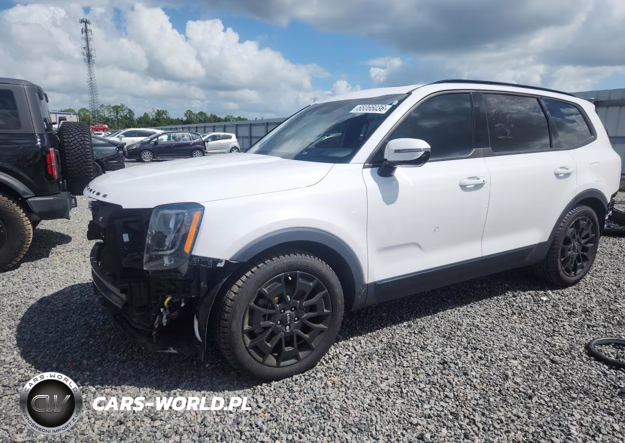 2022 Kia Telluride Sx VIN:5XYP5DHCXNG309823 - 1