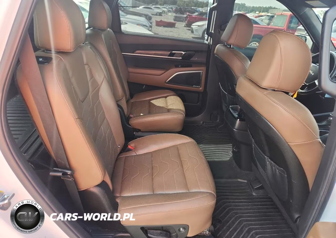 2022 Kia Telluride Sx VIN:5XYP5DHCXNG309823 - 11