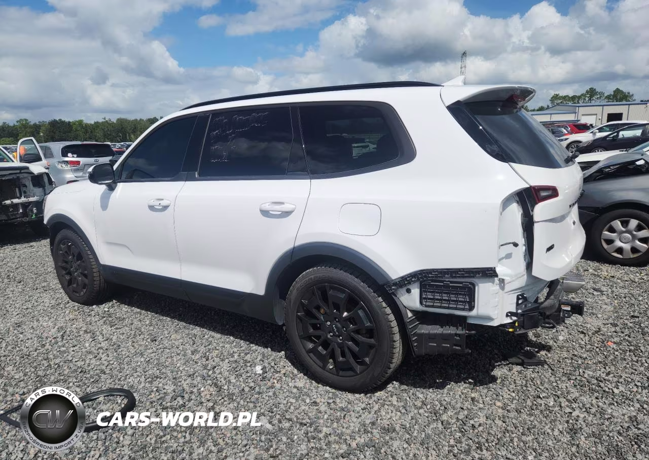 2022 Kia Telluride Sx VIN:5XYP5DHCXNG309823 - 2