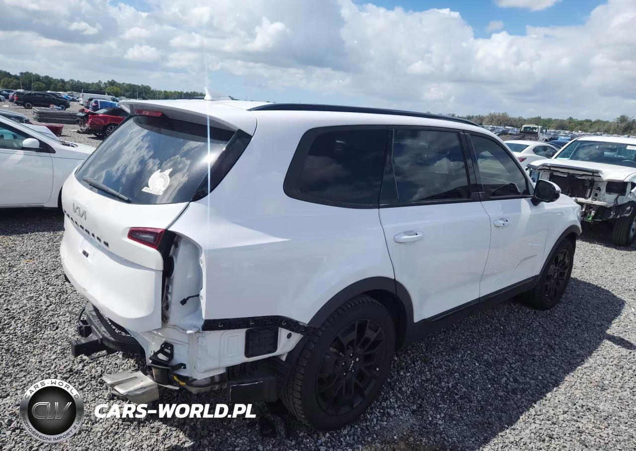 2022 Kia Telluride Sx VIN:5XYP5DHCXNG309823 - 3