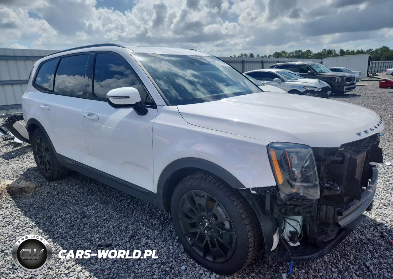 2022 Kia Telluride Sx VIN:5XYP5DHCXNG309823 - 4