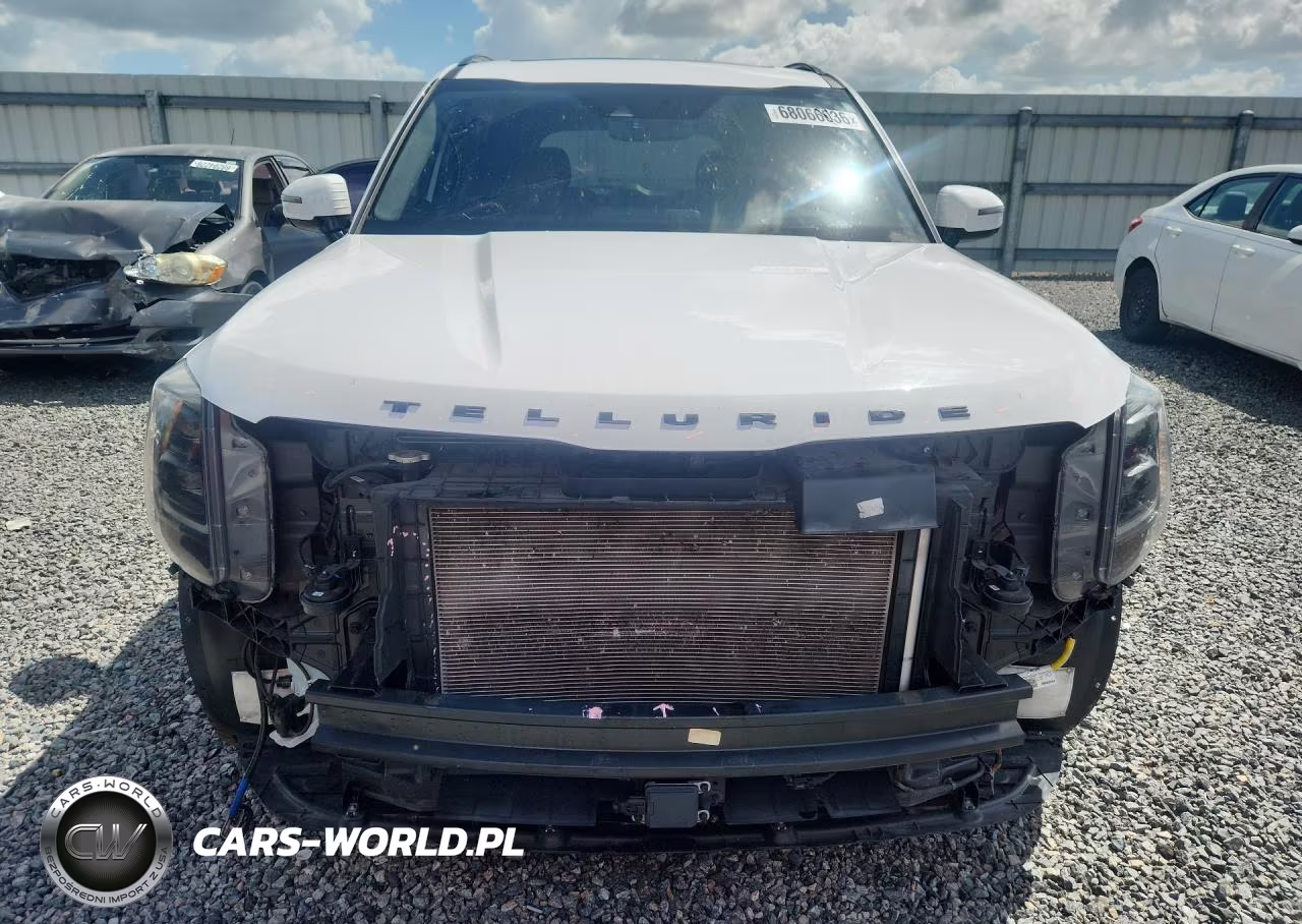 2022 Kia Telluride Sx VIN:5XYP5DHCXNG309823 - 5