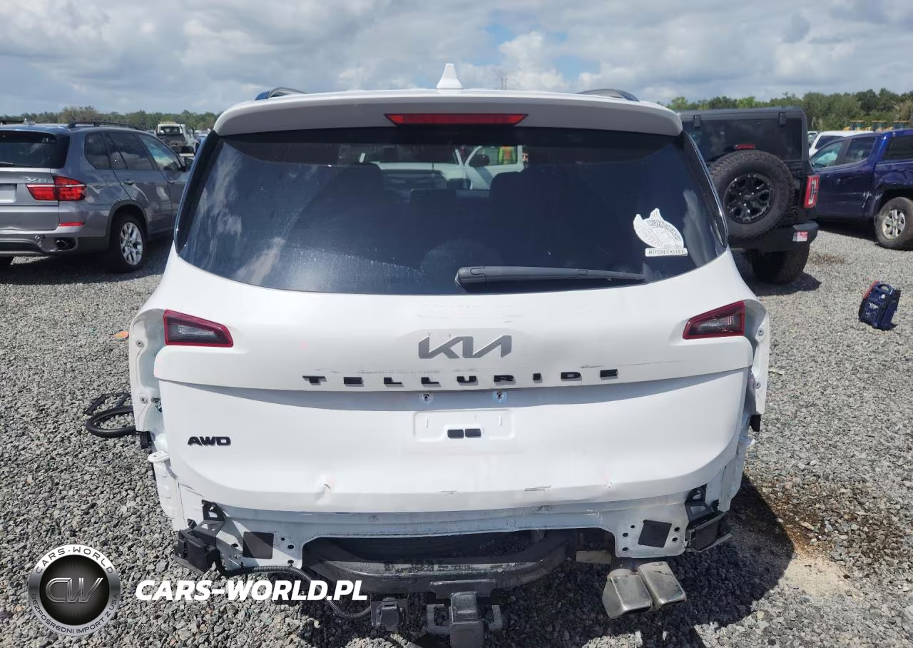 2022 Kia Telluride Sx VIN:5XYP5DHCXNG309823 - 6