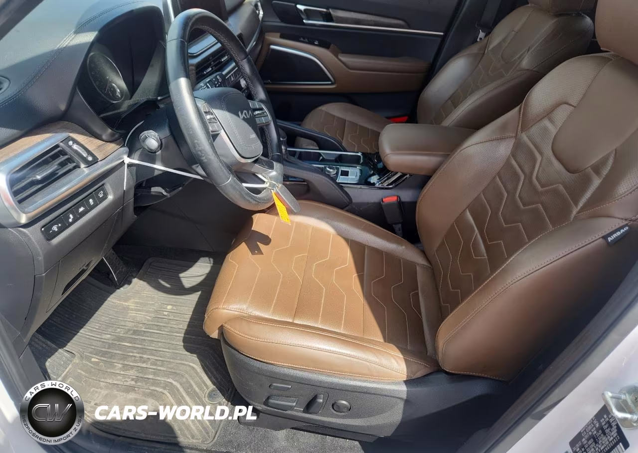 2022 Kia Telluride Sx VIN:5XYP5DHCXNG309823 - 7