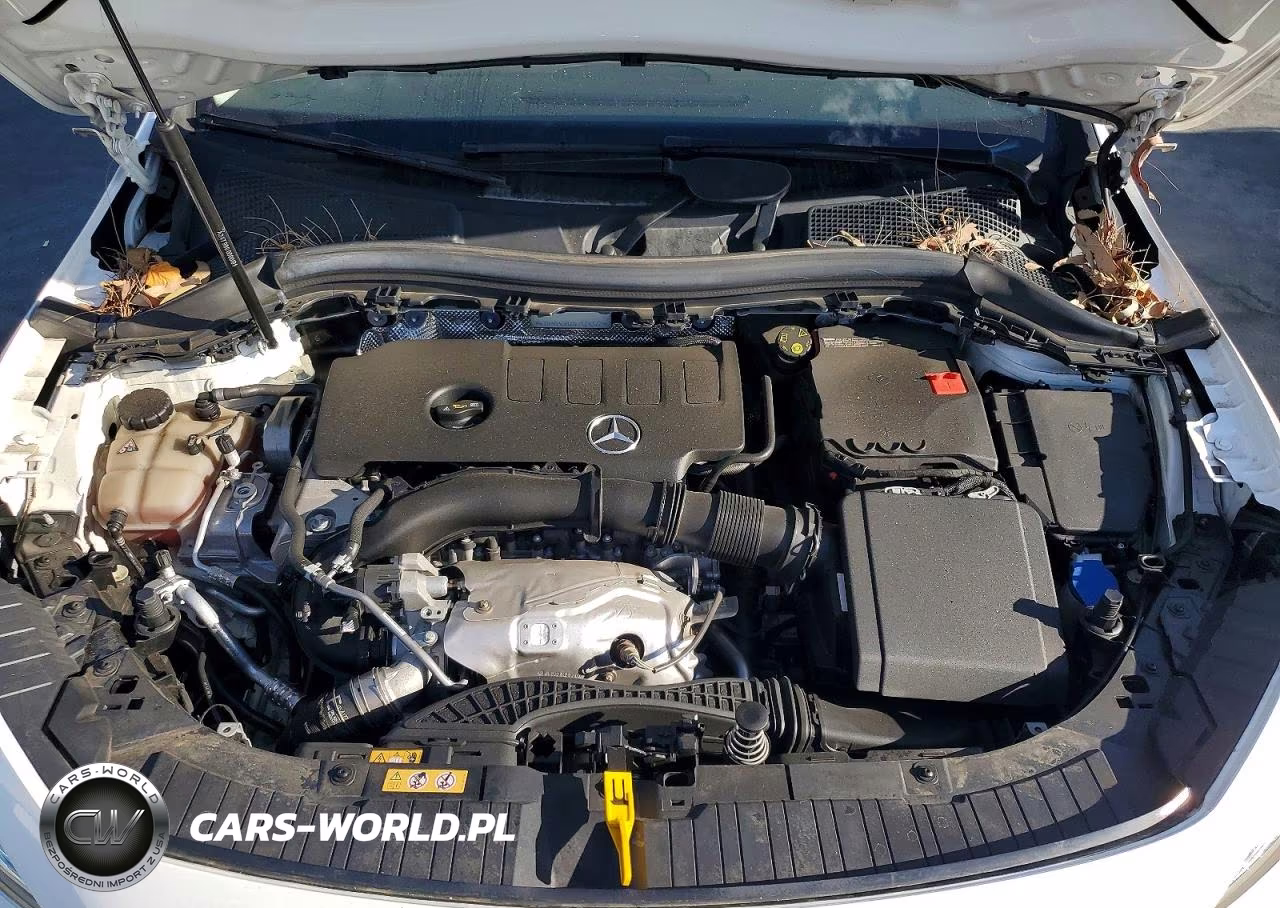 2022 Mercedes-Benz Gla 250 VIN:W1N4N4GBXNJ414317 - 11