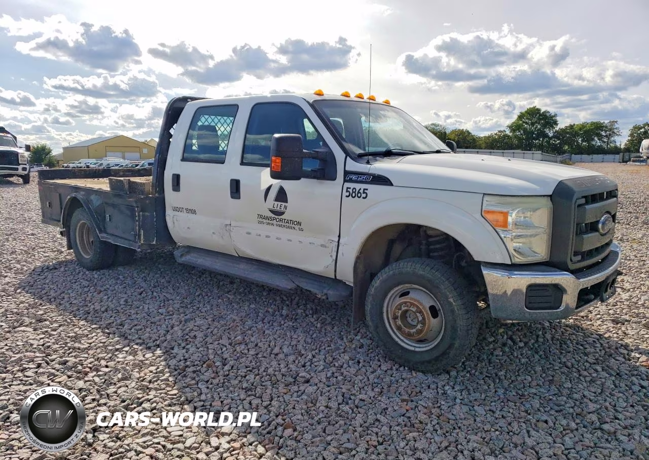 2016 Ford F350 Super Duty VIN:1FD8W3H64GEA85865 - 4