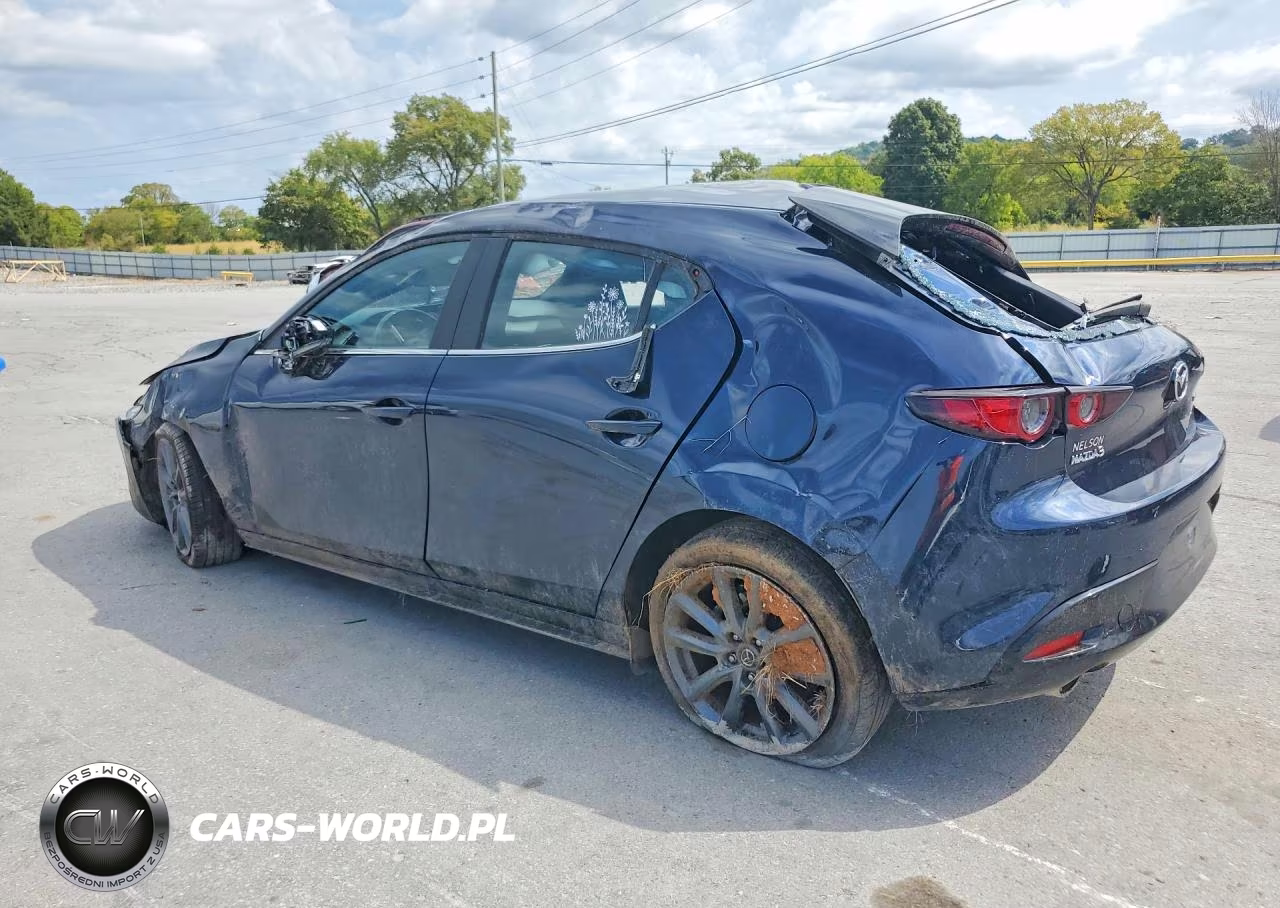 2020 Mazda 3 Preferred VIN:JM1BPAMM0L1160627 - 2