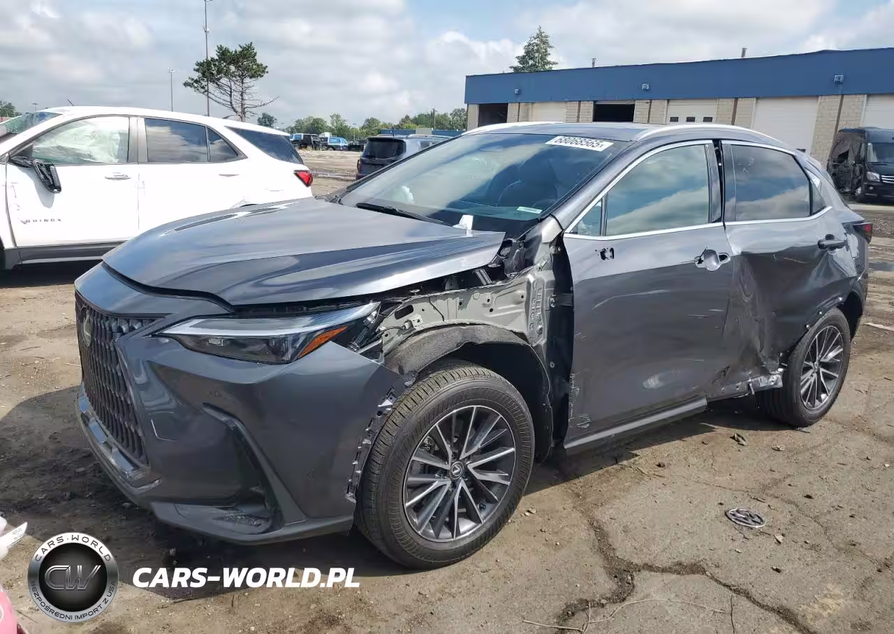 LEXUS