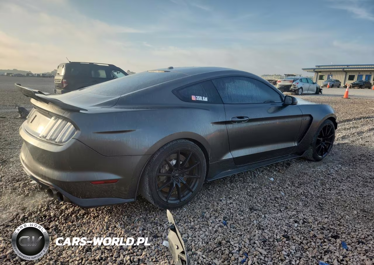 2016 Ford Mustang Shelby Gt350 VIN:1FA6P8JZ2G5525114 - 3