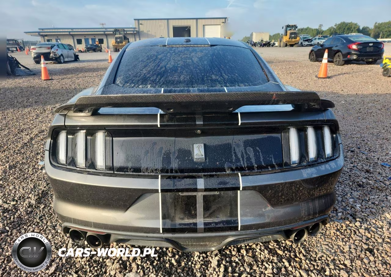 2016 Ford Mustang Shelby Gt350 VIN:1FA6P8JZ2G5525114 - 6