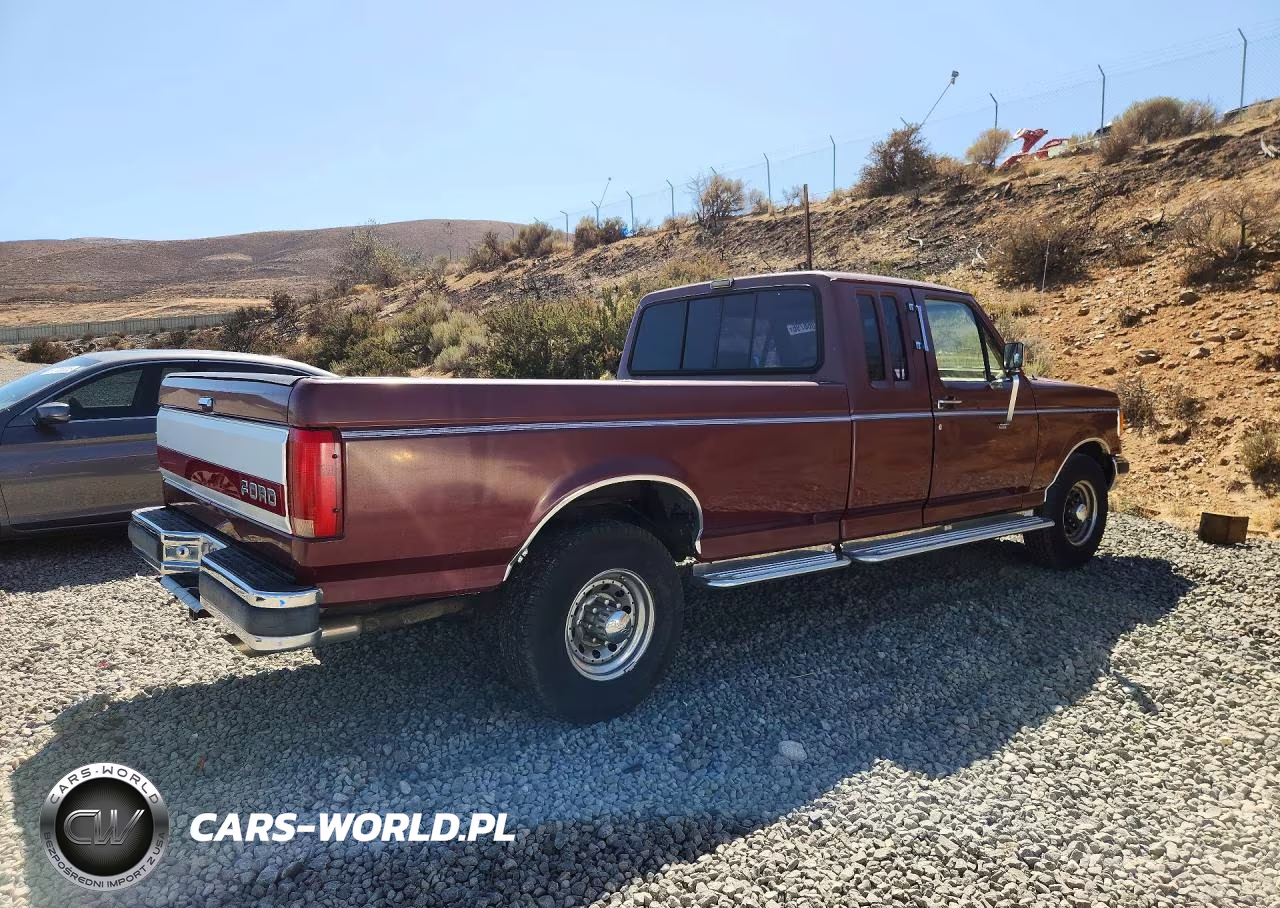 1991 Ford F250 VIN:1FTHX25G2MKB06878 - 3