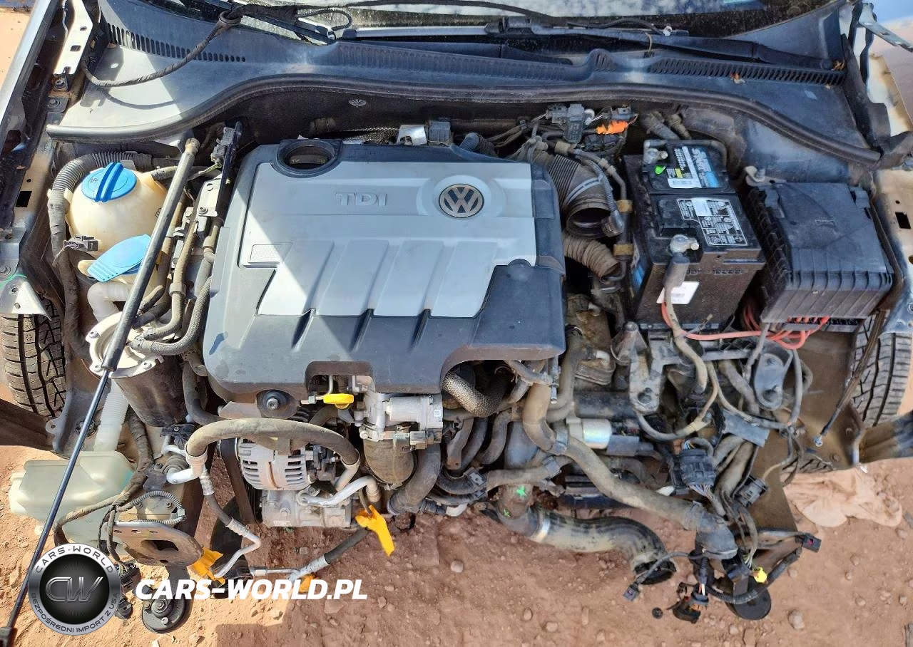 2014 Volkswagen Golf VIN:WVWDM7AJ3EW007504 - 11