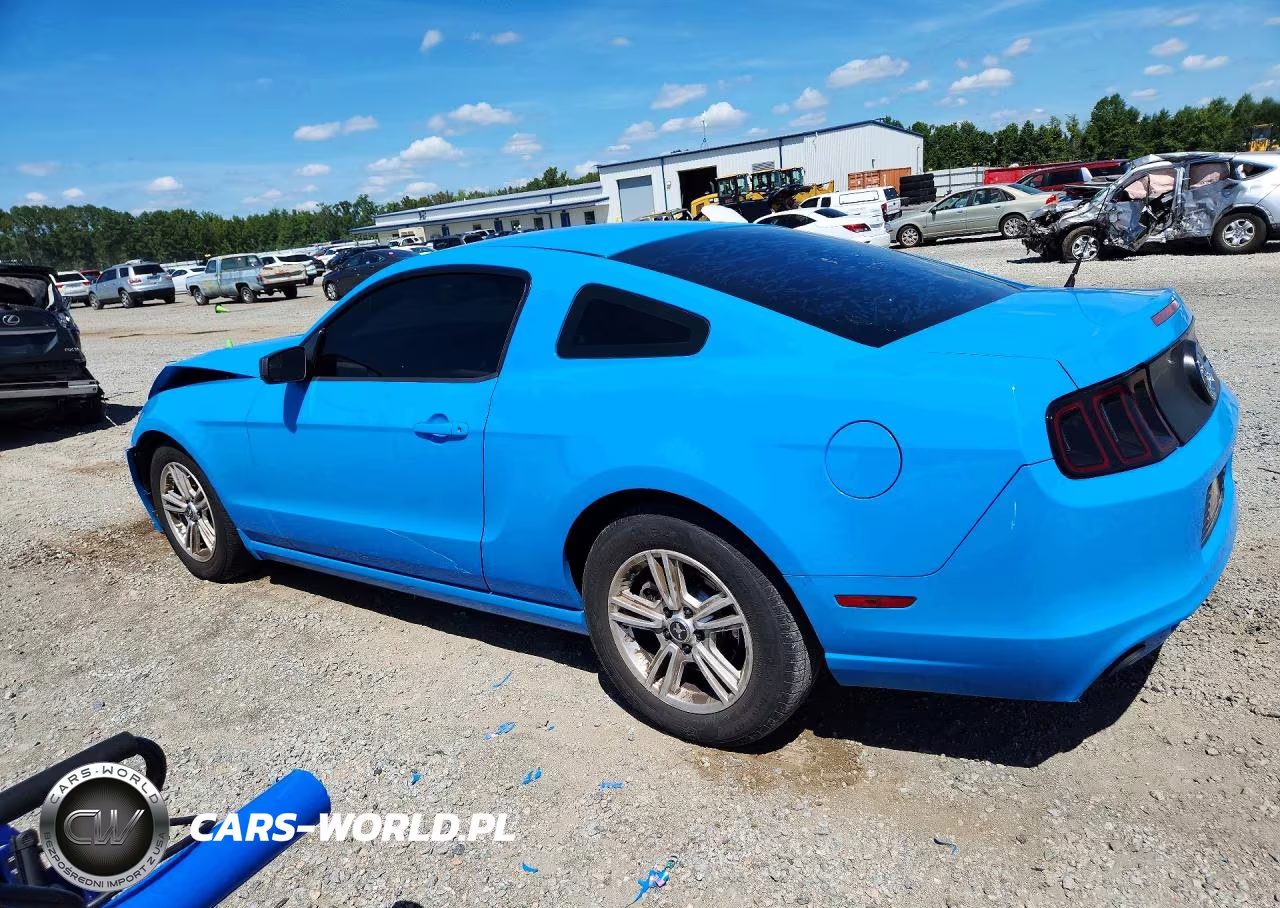 2014 Ford Mustang VIN:1ZVBP8AM8E5201530 - 2