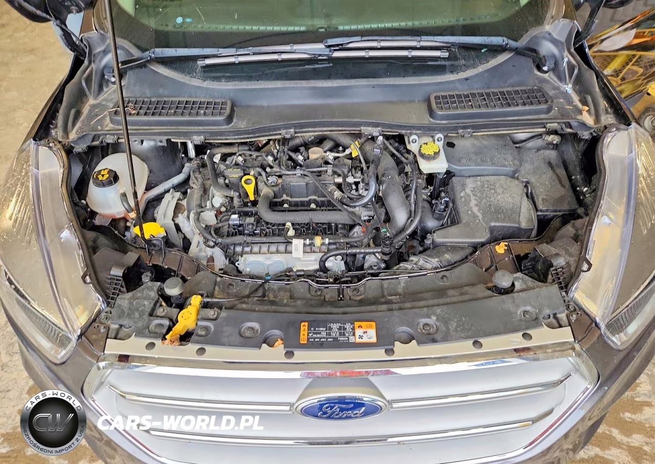 2019 Ford Escape Se VIN:1FMCU9GDXKUB50168 - 12