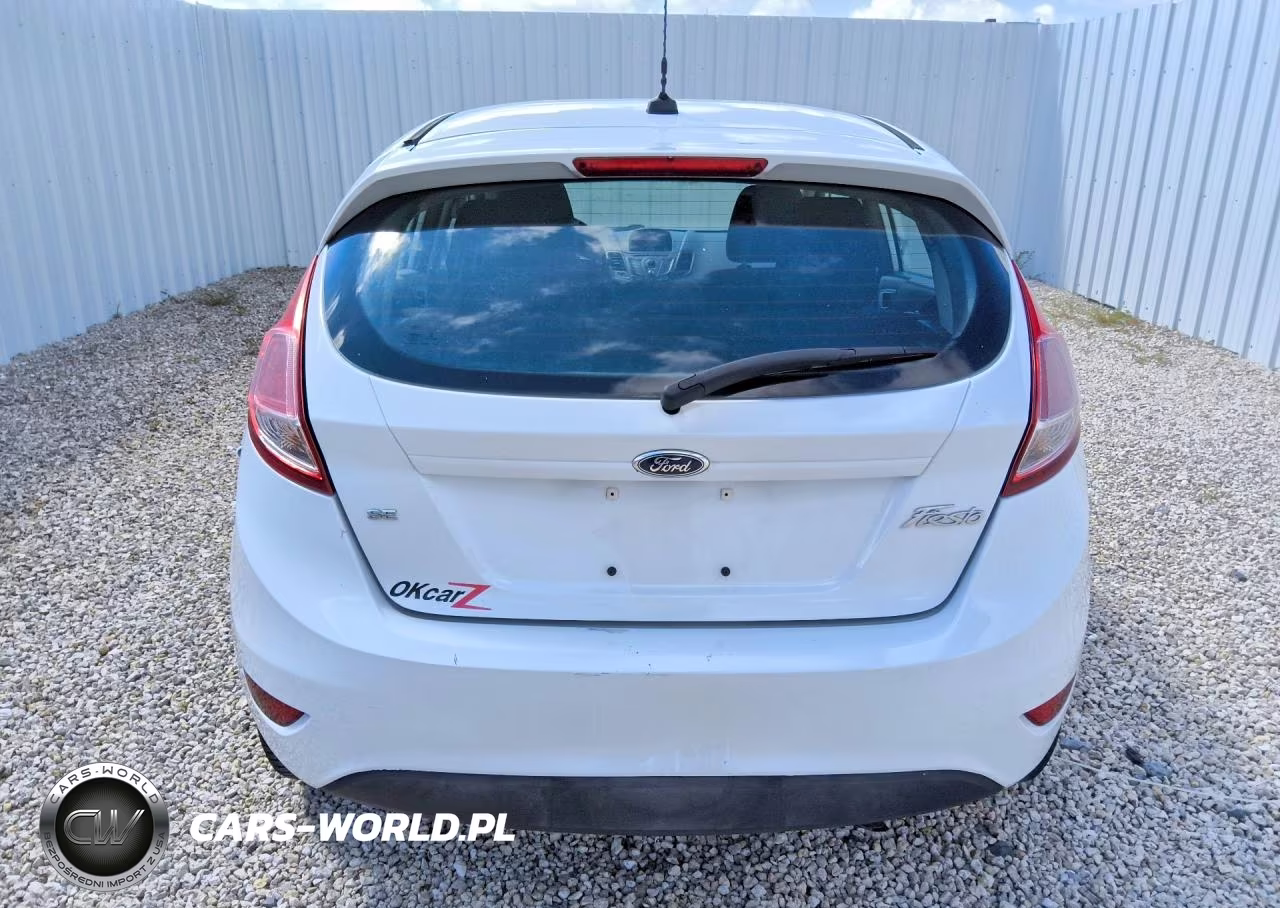 2014 Ford Fiesta Se VIN:3FADP4EJ9EM118158 - 6