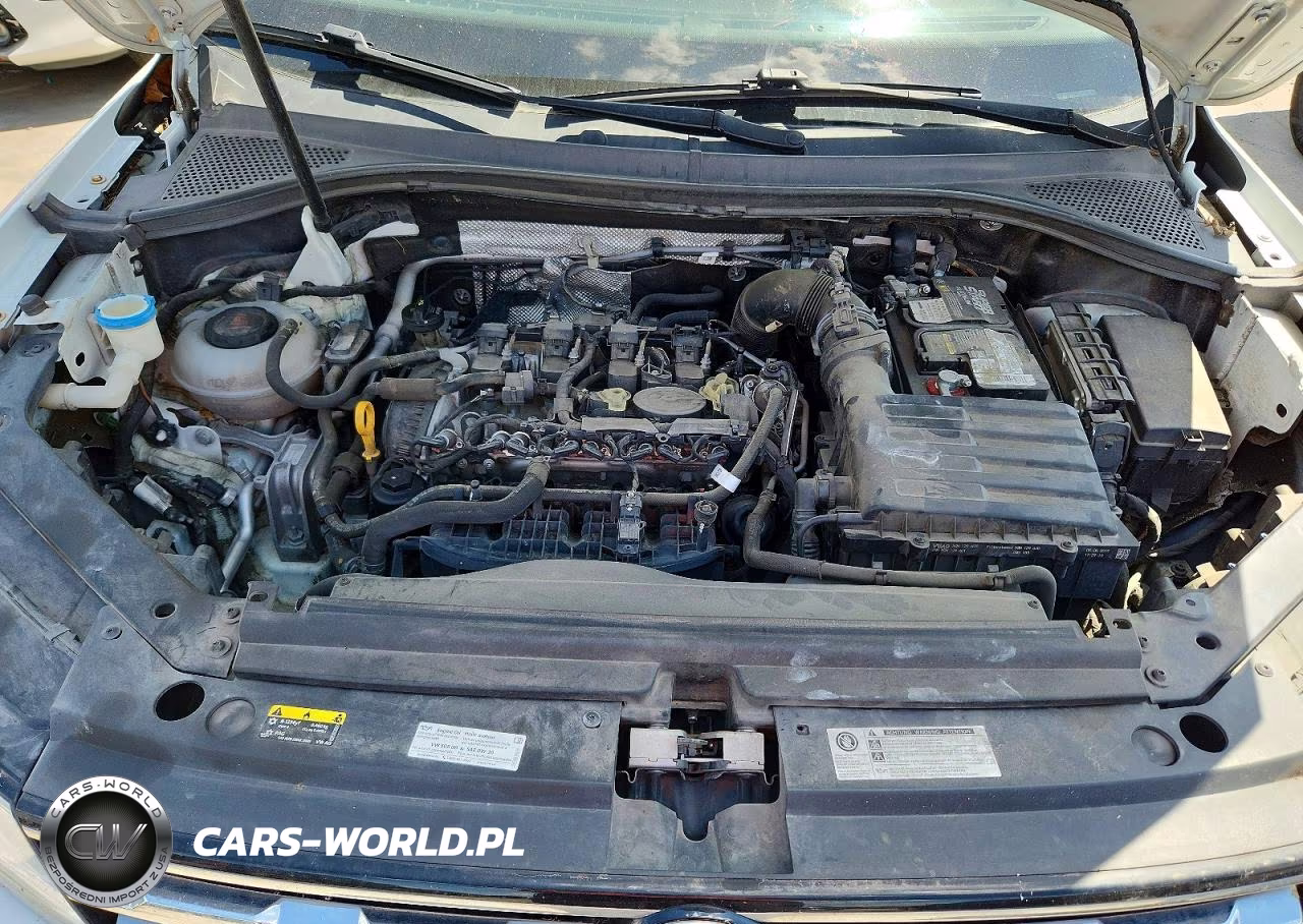 2019 Volkswagen Tiguan S VIN:3VV1B7AX8KM199108 - 12