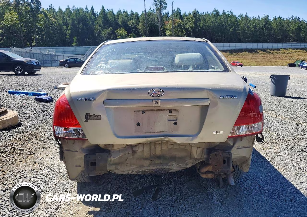 2003 Hyundai Elantra Gls VIN:KMHDN45D03U492169 - 6