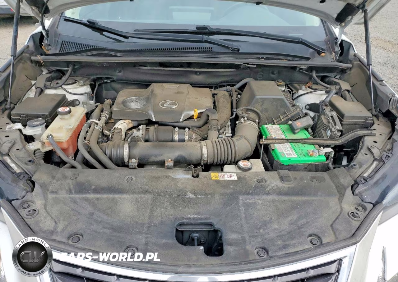 2019 Lexus Nx 300 Base VIN:JTJBARBZ4K2181095 - 12