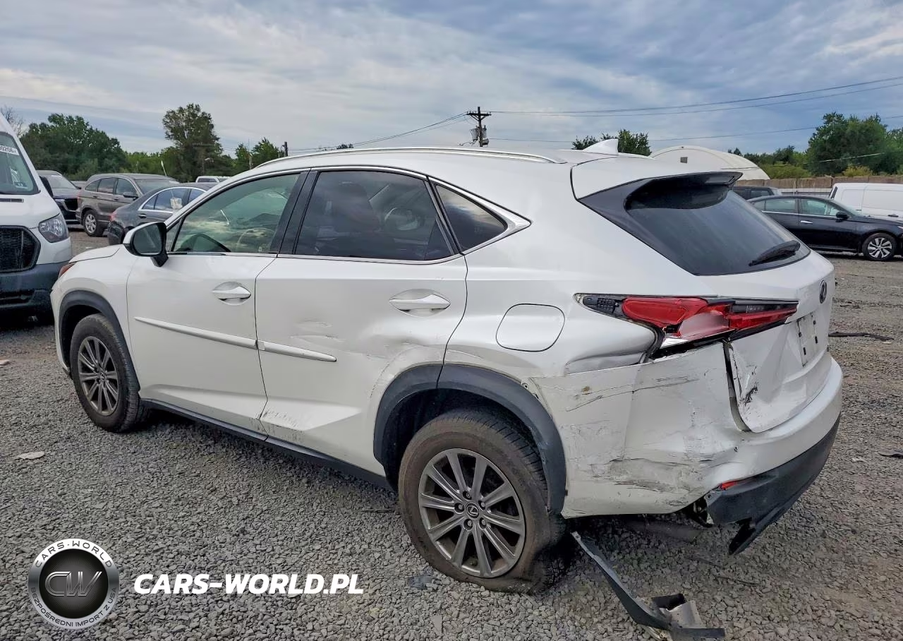 2019 Lexus Nx 300 Base VIN:JTJBARBZ4K2181095 - 2