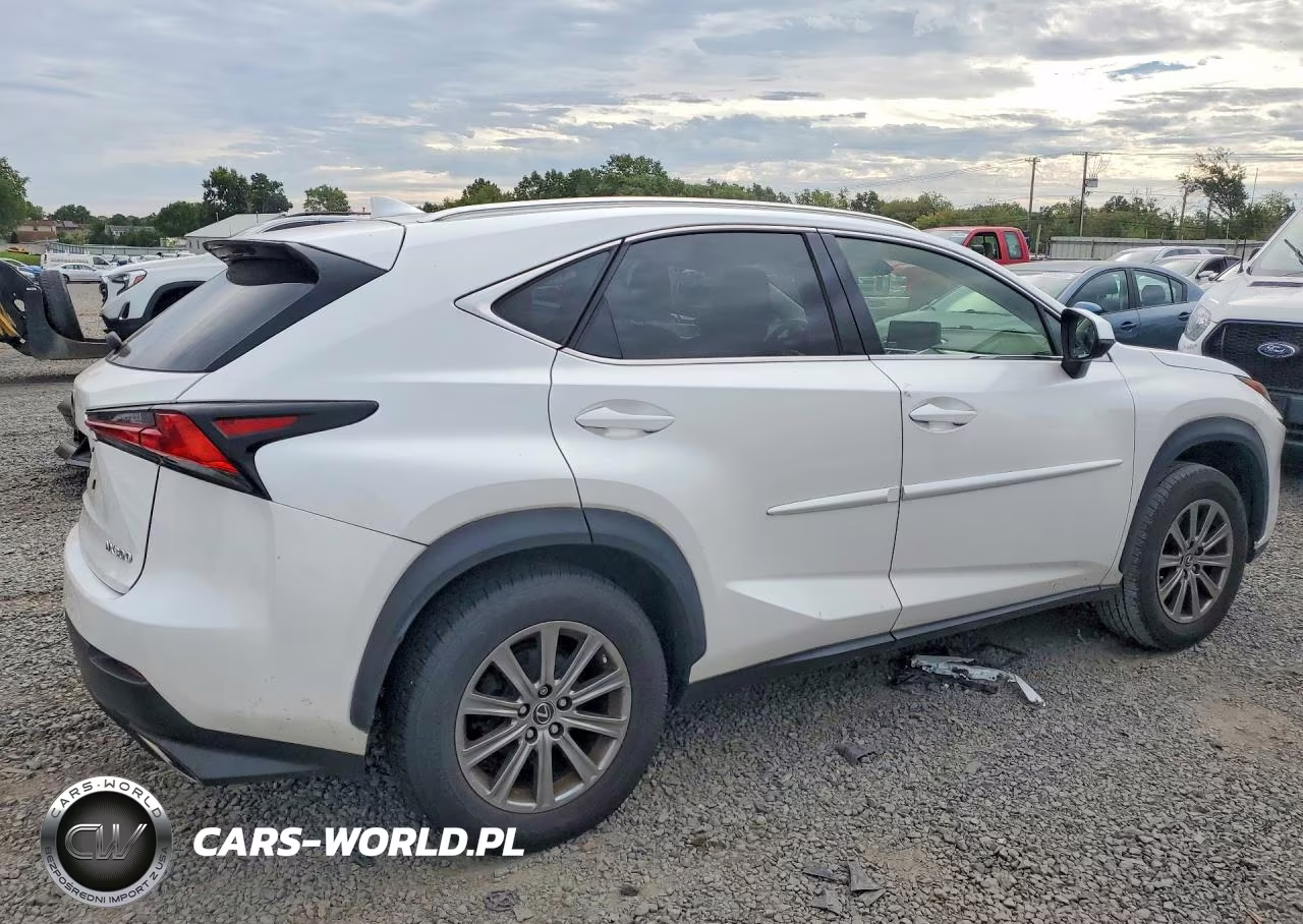 2019 Lexus Nx 300 Base VIN:JTJBARBZ4K2181095 - 3