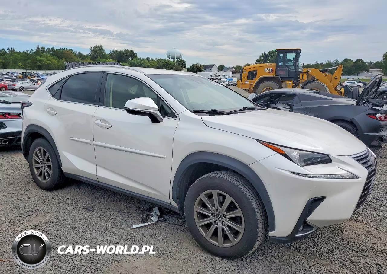 2019 Lexus Nx 300 Base VIN:JTJBARBZ4K2181095 - 4