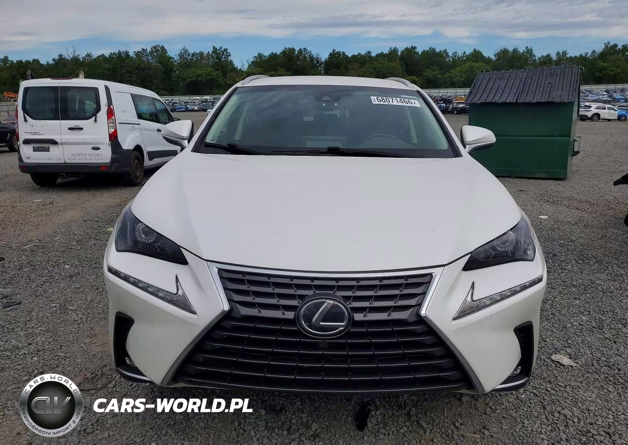2019 Lexus Nx 300 Base VIN:JTJBARBZ4K2181095 - 5